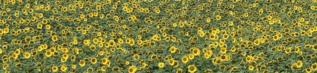 Erleben – Entdecken – Erkunden: Verreisen